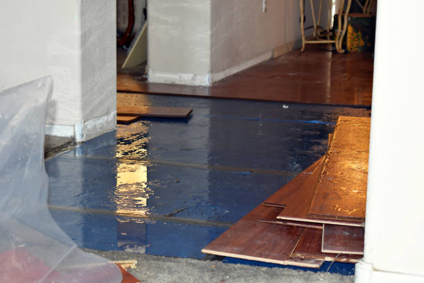 Professional Burst Pipe Cleanup technician working in Woodruff, AZ